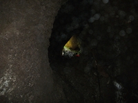 otta monte Cicirello-22042012 044